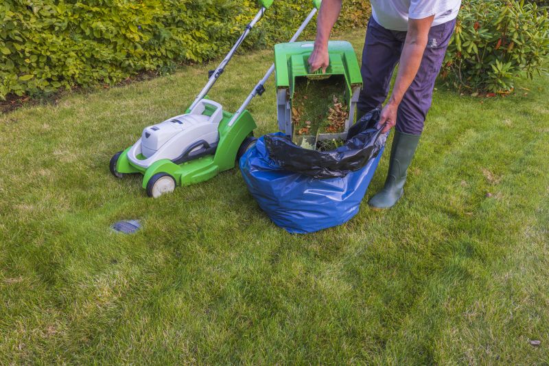 Lawn Preparation